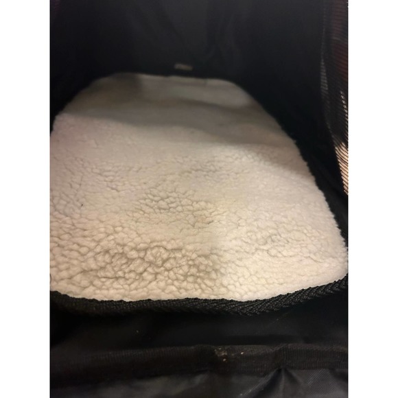 Luxury Travel for pets! - Picture 6 of 16